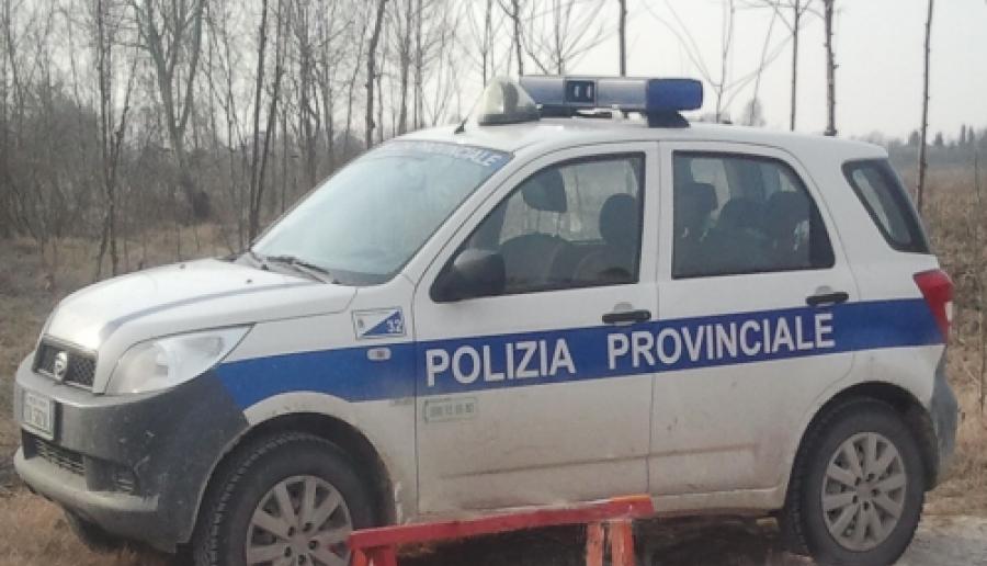 auto della polizia provinciale durante un'operazione di controllo venatorio auto della polizia provinciale durante un'operazione di controllo venatorio