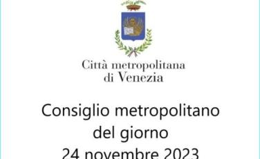 Consiglio metropolitano