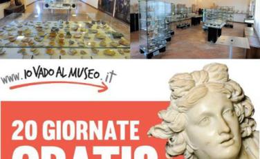 Museo di Torcello aperto gratuitamente