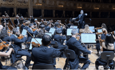 fenice metropolitana