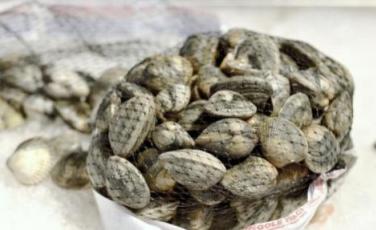 Vongole Vongole