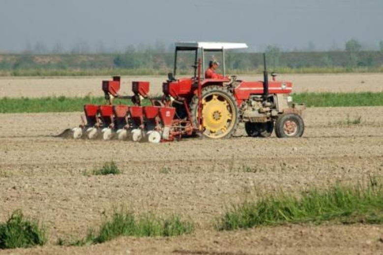 San Michele al Tagliamento, aratura in località Terzo Bacino (foto Mario Fletzer)